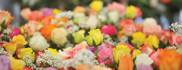 31st Annual Rose Sale